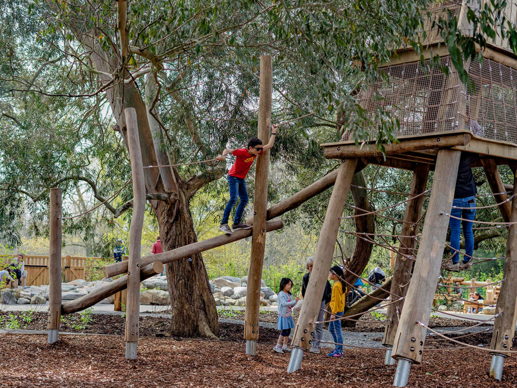 Duncan and Grove Robinia climbing frames